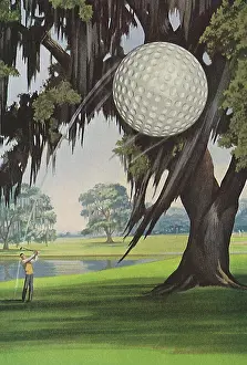 Golfer: Golf Ball in Flight
