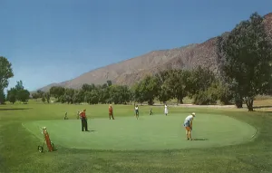 Golfers: Golfers Play a Hole