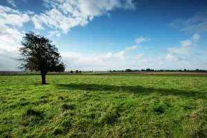 Battlefields: Gommecourt - Somme