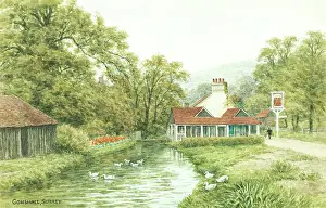 Gomshall: Gomshall, Surrey