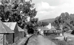 Gomshall: Gomshall, the Tilling Bourne 1917