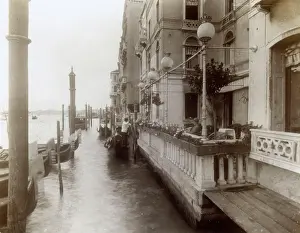 Waterside: Gondolas waiting for passengers, Venice, Italy