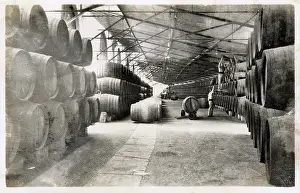 Sherry: Gonzalez Byass warehouse, export dock, Spain