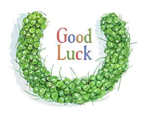 Mckeown: Good Luck desIgn WIth clover