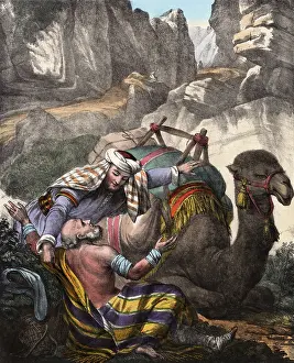 Samaritan: GOOD SAMARITAN