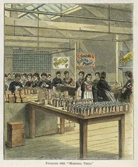Backhouse: GOODALL, BACKHOUSE & CO