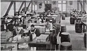 Backhouse: Goodall Backhouse & Co. - Egg Powder 1906