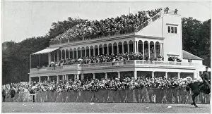 Packed: Goodwood Races 1901