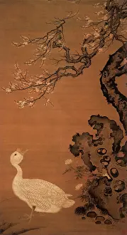 1560s: A Goose