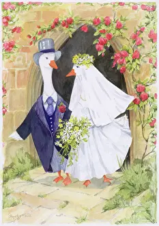 Elspeth: Goose bride and goose bridegroom
