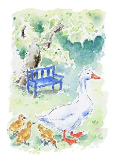 Goslings: Goose and three goslings
