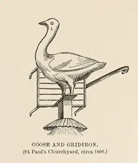 Gridiron: GOOSE AND GRIDIRON