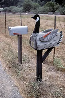 Marin: Goose US Mailbox