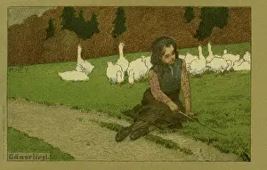 Goosegirl: The Goosegirl