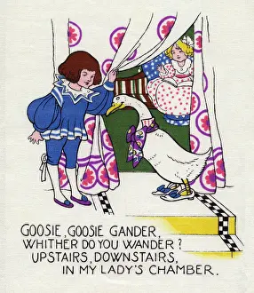 Gander: Goosie Goosie gander
