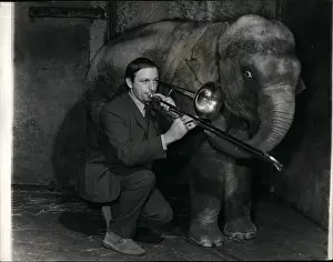 Landlord: Gordon Robinson practises trombone in elephant house