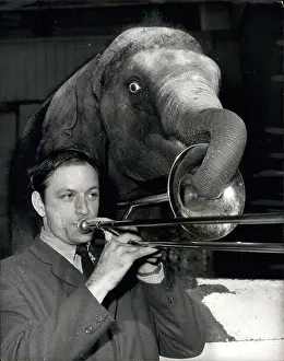 Decides: Gordon Robinson practises trombone in elephant house
