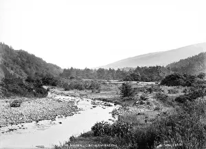 Dodder: Gorge of Dodder, Bohernabreene