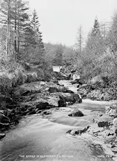 Cascading: The Gorge of Glenariff, Co Antrim