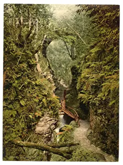 Lydford: The gorge, Lydford, England