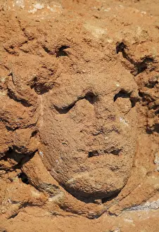 Amulet: Gorgoneion relief, Solunto Museum, Solunto, Sicily, Italy