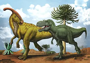 Gorgosaurus: Gorgosaurus dinosaur chasing after a Parasaurolophus