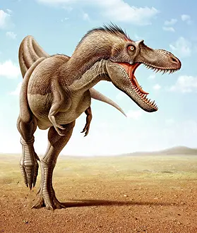 Gorgosaurus: Gorgosaurus running across an open desert