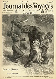 Snatched: GORILLA ON THE ATTACK
