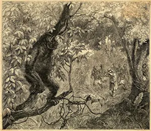 Hunted: GORILLA HUNTED