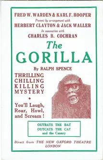 Gorillas: The Gorilla by Ralph Spence