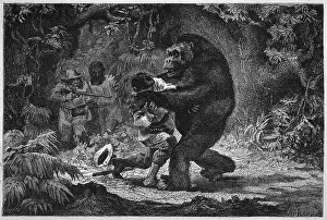 Formidable: GORILLA AND VICTIM