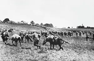 Gorlice: Gorlice-Tarnow Offensive 1915