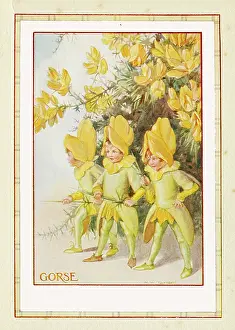 Costumed: Gorse Fairies