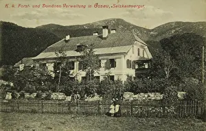 Domain: Gosau. K. k. Forest and Domain administration