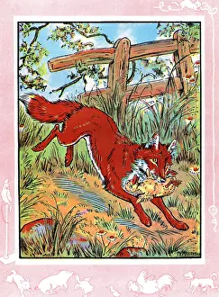 Gosling: Gosling carried off by a fox
