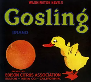 Gosling: Gosling with Orange