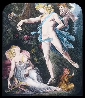 Titania: Gossip About Fairies 13