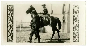 Jockeys: Gothic, Australian race horse