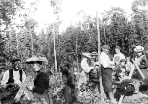 Goudhurst: Goudhurst, Hop Pickers 1904