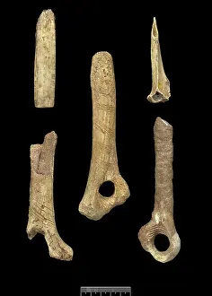 Somersetshire: Gough's Cave artefacts