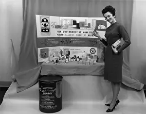 Fallout: US Government promoted building and stocking ?