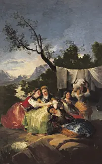Pardo: GOYA Y LUCIENTES, Francisco de (1746-1828). The