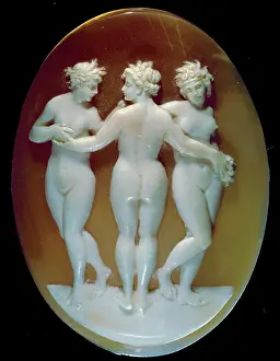 Primavera: The Three Graces, cameo in