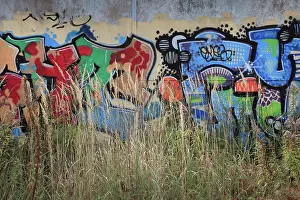 Wasteland: Graffiti, Nordbahnhof Park, Berlin, Germany