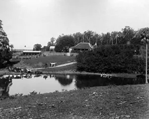 Outback: Graham's Farm, Berry Mountain, Australia