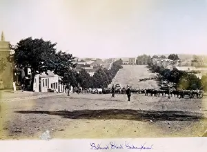 Northwards: Grahamstown: Bathurst Street, c. 1882