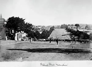 Bathurst: Grahamstown: Bathurst Street, c. 1882