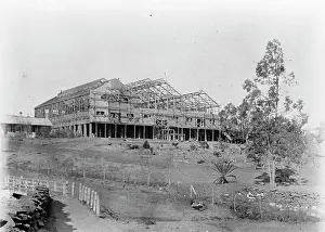 Cycads: Grahamstown: Construction of the Exhibition Hall, 1898