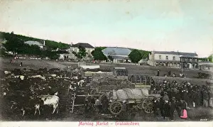 Wagons: Grahamstown, Eastern Cape, Cape Colony, South Africa