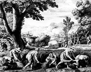 Threshing: Grain harvest in the 17th century